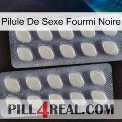 Black Ant Sex Pill 07